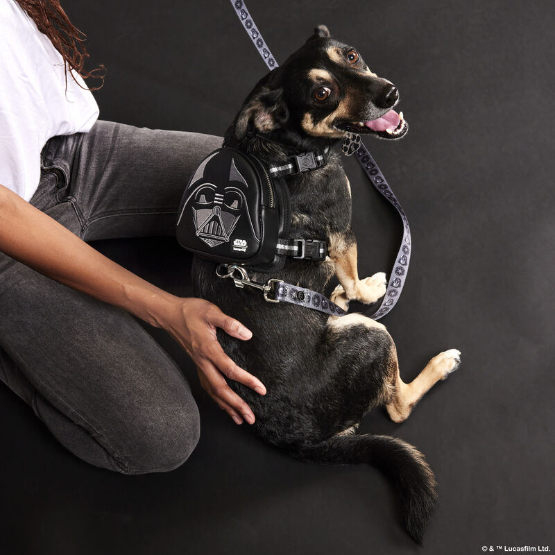 Dog wearing the Darth Vader Mini Backpack Harness